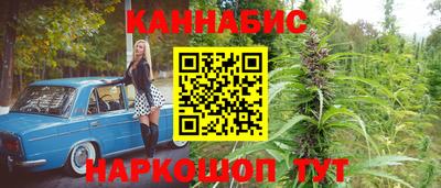mdpv Новодвинск