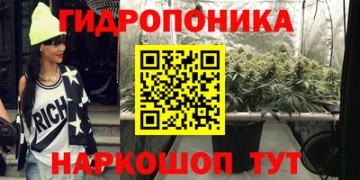 mdpv Новодвинск