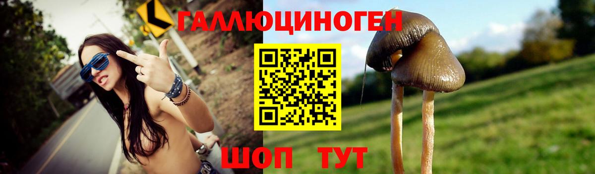 Галлюциногенные грибы Cubensis  Вход с VPN  Топки 